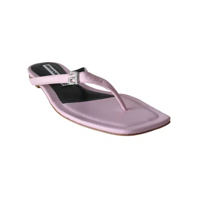 Alexander Wang Ivy Thong Slide Pink In Purple