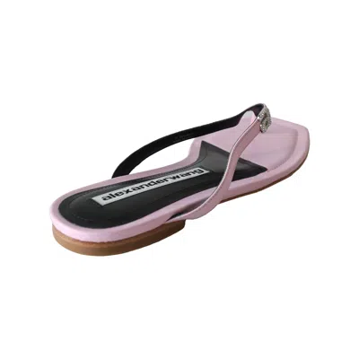 Alexander Wang Ivy Thong Slide Pink In Purple