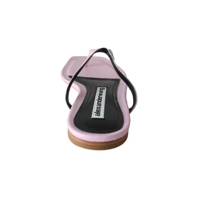 Alexander Wang Ivy Thong Slide Pink In Purple