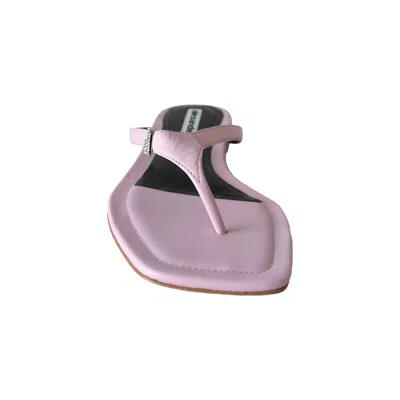Alexander Wang Ivy Thong Slide Pink In Purple