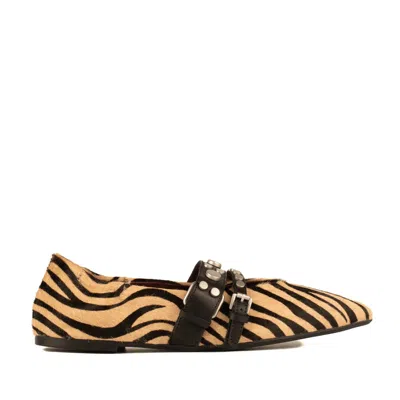 Ash Tiger Ballerina In Multi