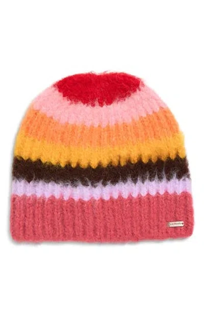 Steve Madden Overbrushed Striped Beanie In Multi