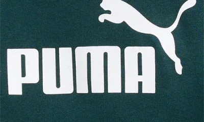 Puma Kids' Logo Fleece Hoodie, Jersey T-shirt & Joggers Set In Multi