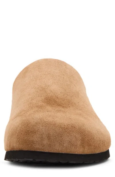 Madden Cortix Clog In Brown