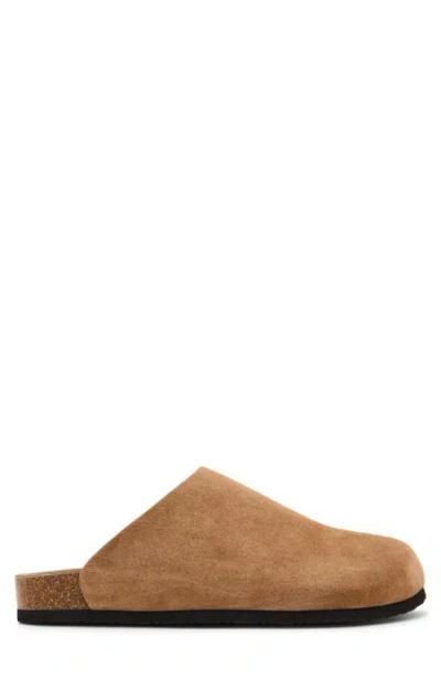 Madden Cortix Clog In Brown