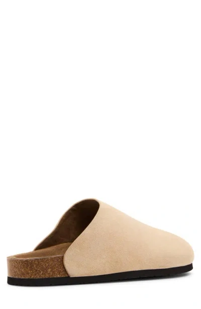 Madden Cortix Clog In Neutral