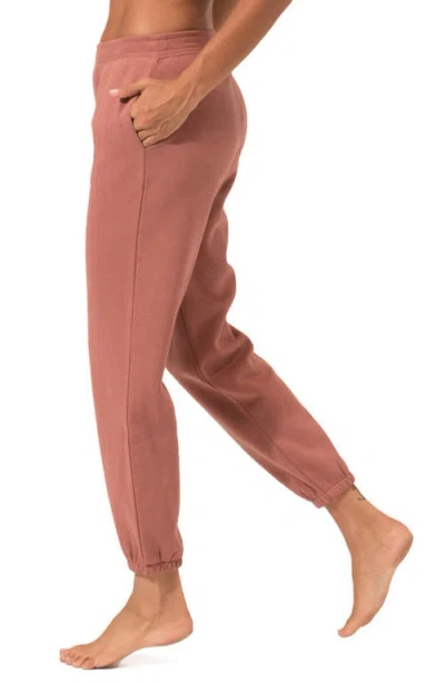 Threads 4 Thought Invincible Fleece Joggers In Brown