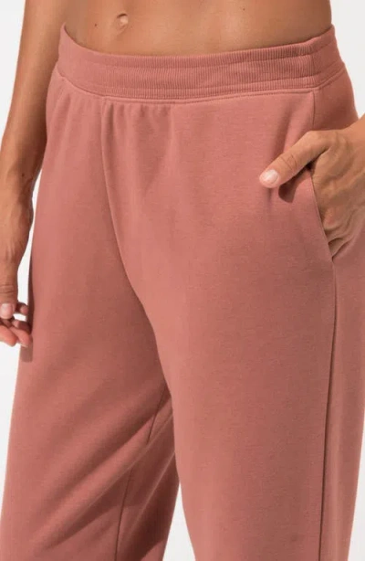 Threads 4 Thought Invincible Fleece Joggers In Brown