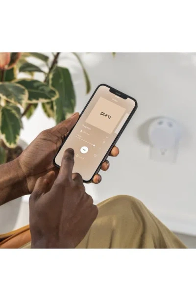 Pura X Paddywax 2-pack Smart Fragrance Diffuser Refills In Green