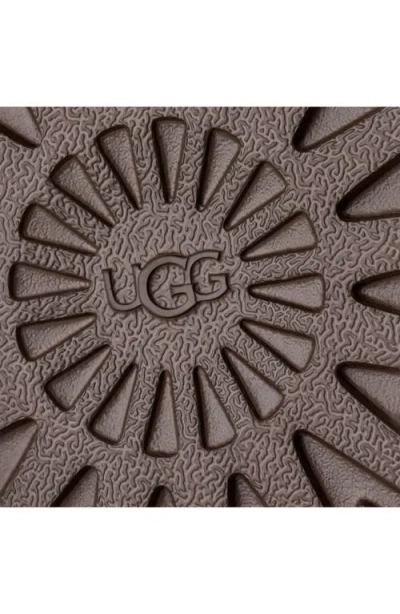 Ugg Round-toe Ankle Boots In Brown