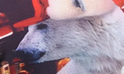 Saxx Volt Breathable Sim Fit Mesh Boxer Briefs In Blue