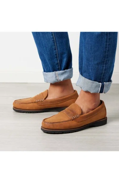 Quoddy Rover Penny Loafer In Brown