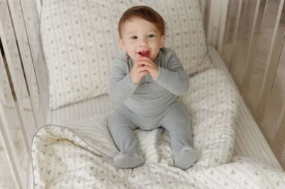 Ely's & Co. Velour Stripe Collection In Gray