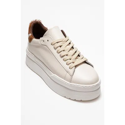 Forever & Always Shoes Anabel Leather Platform Sneakers In Multi