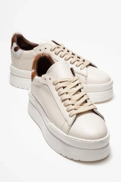 Forever & Always Shoes Anabel Leather Platform Sneakers In Multi