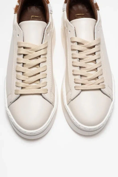 Forever & Always Shoes Anabel Leather Platform Sneakers In Multi