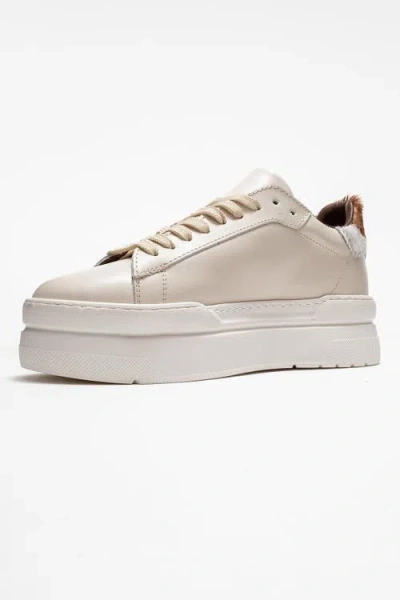 Forever & Always Shoes Anabel Leather Platform Sneakers In Multi