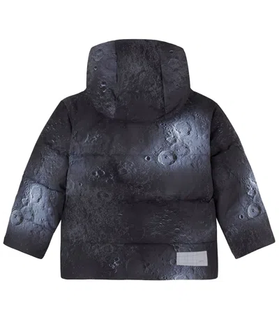 Molo Hilo Ski Jacket In Black