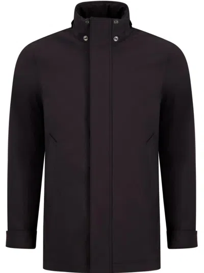 Woolrich Coats In Brown