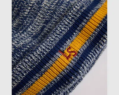 Levi's Monogram Beanie In Blue