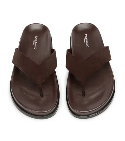 Tony Bianco Loop Espresso Suede In Brown