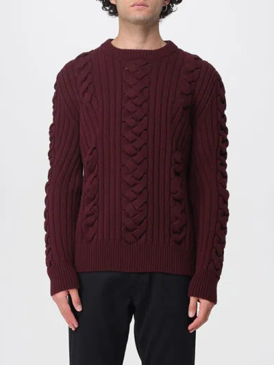 Alexander Mcqueen Alexander Mc Queen Wool Sweater In Burgundy