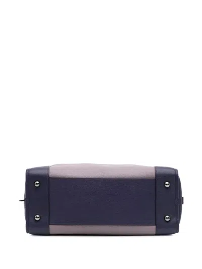 Pre-owned Loewe 2010-2025 Tricolor Goatskin Amazona 36 Handbag In Pink