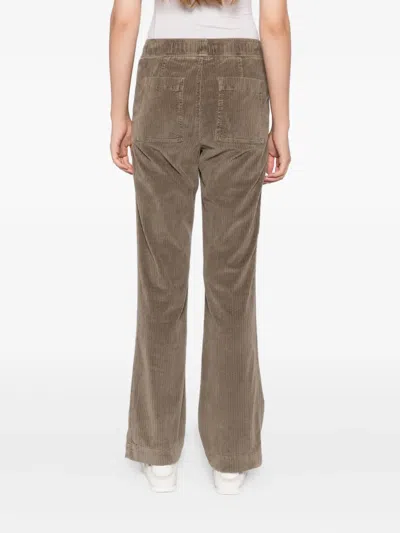 James Perse Corduroy Pant In Multi