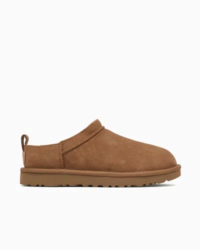 Ugg Micro Micro Micro Micro Micro Micro Micro Micro Micro Micro Micro Micro Micro Micro Micro Micro In Brown
