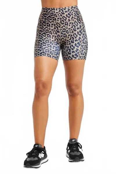 Year Of Ours Leopard Bike Short In Multi In Multi