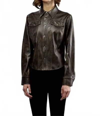 Insight Novelty Vegan Jacket In Yellow Stone In Multi