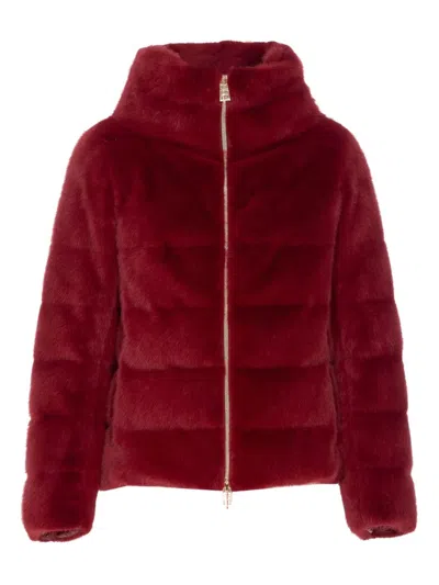 Herno Plush Bordeaux Synthetic Fur Jacket With High Collar In White