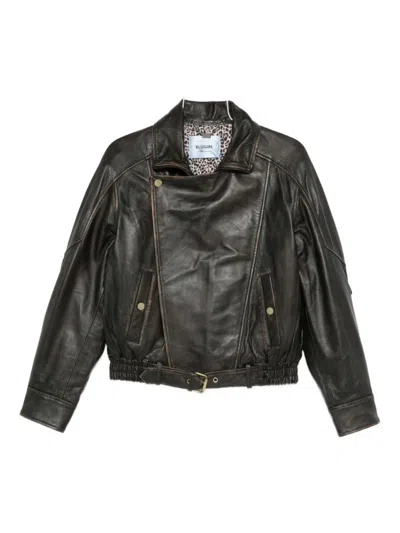 Blugirl Cropped Brown Jacket With Belted Waist In Black