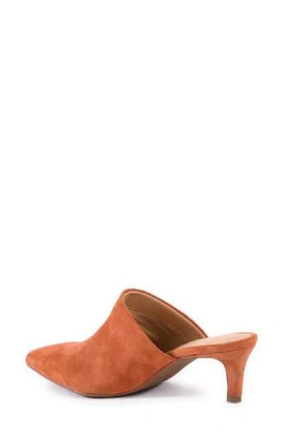 Seychelles Obsession Pointed Toe Kitten Heel Mule In Brown