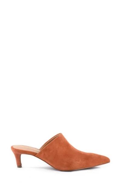 Seychelles Obsession Pointed Toe Kitten Heel Mule In Brown