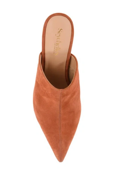 Seychelles Obsession Pointed Toe Kitten Heel Mule In Brown