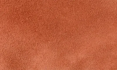 Seychelles Obsession Pointed Toe Kitten Heel Mule In Brown