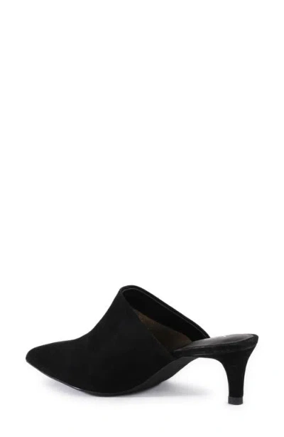 Seychelles Obsession Pointed Toe Kitten Heel Mule In Black