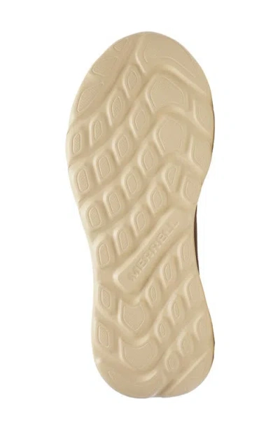 Merrell Morphaxis Trail Running Shoe In Brown