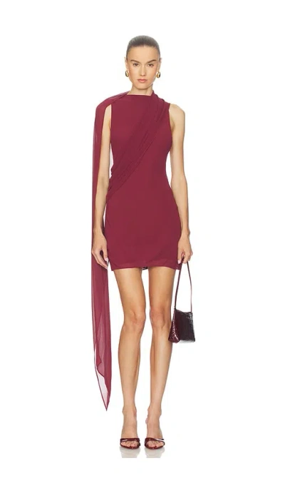 Camila Coelho Casilda Mini Dress In Burgundy