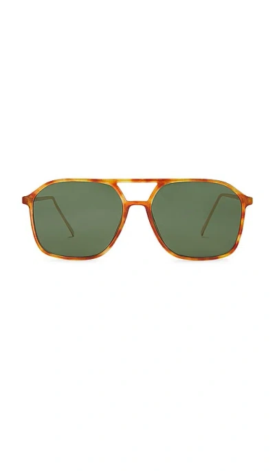 CUSP Å¤ªÉ˜³É•Œ Â€“ VINTAGE TORTOISE GOLD & KHAKI MONO. Å°ºÇ � ALL.
