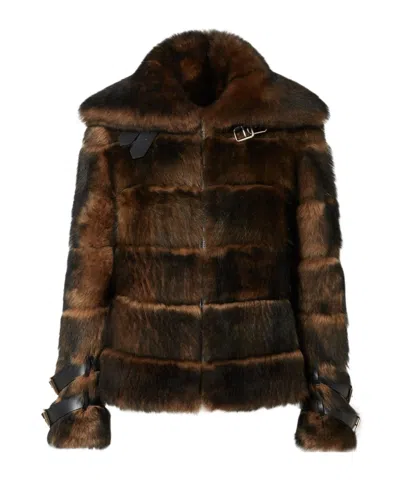 Fendi Women Color Pequin Motif Fur Aviator Jacket In Brown