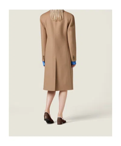 Miu Miu Single-breasted Double Cashmere Coat In Brown