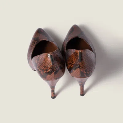 Miu Miu Python-print Ayers Leather Pumps In Brown