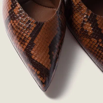 Miu Miu Python-print Ayers Leather Pumps In Brown