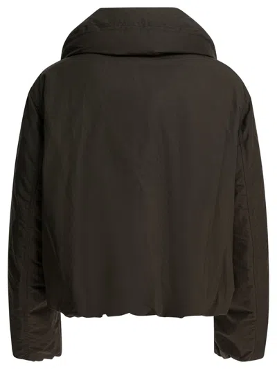 Lemaire Women Brown Water-repellent Puffer Blouson In Black
