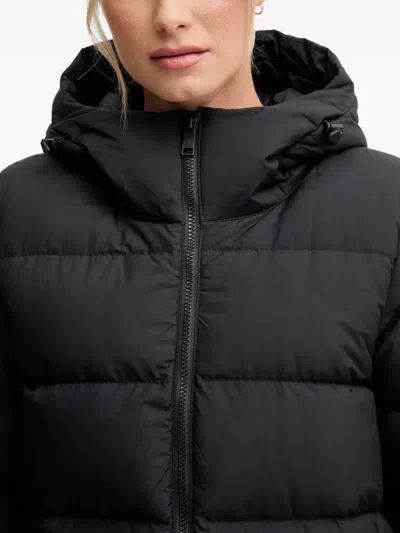 Jack Wolfskin Frozen Palace Hooded Padded Coat In Black