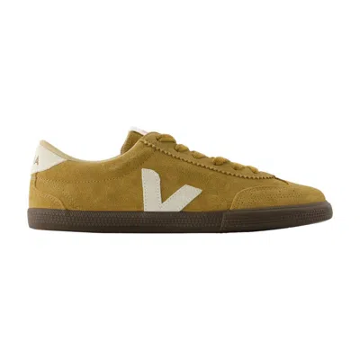 Veja Volley Tent Natural Eagle Sneakers In Brown