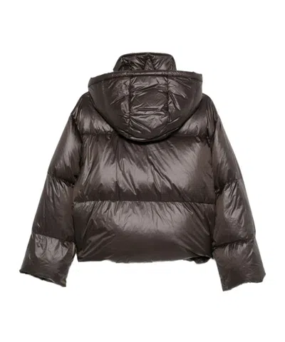 Antonelli Cropped Brown Puffer Jacket With High Collar In Black