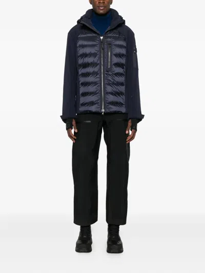 Bogner Zoran-d Padded Jacket In Multi